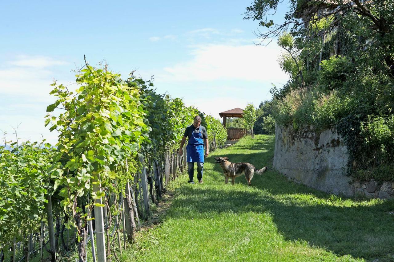 Engadiner Apartments & Wines Монтанья Экстерьер фото